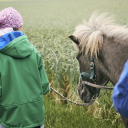 Partnerschaft spüren