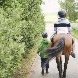 Gemeinschaft erleben