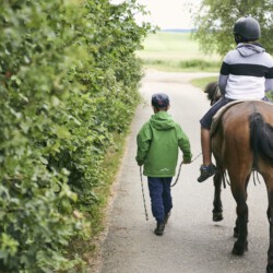 Zusammenarbeit zwischen Klein und Groß